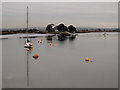 SX9685 : Still water in the Exe at low tide  by Stephen Craven