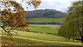 Monnow valley by Orchard Cottage