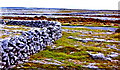 M2203 : Burren - R480 - Stone Wall at Sharp Turn in R480   by Joseph Mischyshyn