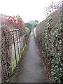 Footpath - Wrexham Road