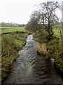 Looking south along Thackthwaite Beck