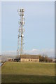 SP0018 : Mobile phone mast by Philip Halling