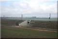 TL1931 : New railway spur Bridge by N Chadwick