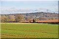 East Devon : Grassy Field