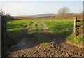 Field above Treyone Farm