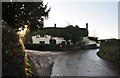SX9497 : Huxham : Country Lane by Lewis Clarke