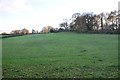 SX9496 : East Devon : Grassy Field by Lewis Clarke