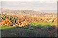 East Devon : Countryside Scenery