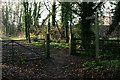 Bridleway in Merstham, Surrey