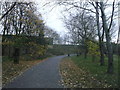 Path in Little Wormwood Scrubs