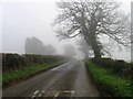 Foggy country lane