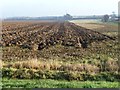 SE4231 : Partly-ploughed field, north side, Selby Road by Christine Johnstone