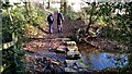 Map says footbridge? Look like stepping stones to me!