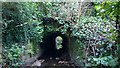 BCDR third culvert over Knock River (downstream end)