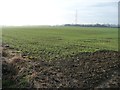 Farmland north-east of Peckfield Bar