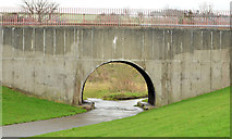 J3876 : Footbridge and paths, Knocknagoney, Belfast (1) by Albert Bridge