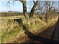 Fine dry stone wall near Yetlington Lane