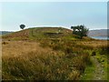 Small hillock west of Barfad