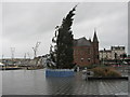 Christmas Tree Portrush