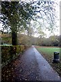 NY3704 : Footpath through Rothay Park, Ambleside by Graham Robson