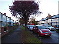 Barrington Avenue, Hull