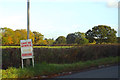 Pastures, hedgerow trees and roadside, Middle Lane, Wythall