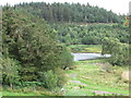 Glimpse of  Llyn Glangors