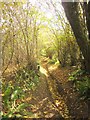 Bridleway to Baddaford