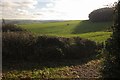 Farmland, Higher Penn