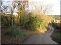 SX7767 : Lane at Little Woodland by Derek Harper