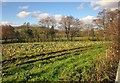 SX7866 : Farmland by the Hems by Derek Harper