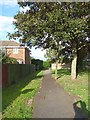 One of several paths on the housing estate near Jubilee Park