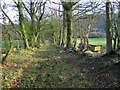 Track near Hogstow Hall