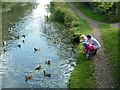 SU0781 : Feeding the ducks on the Wilts and Berks Canal by Penny Mayes