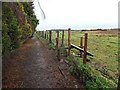 Footpath at Slaemuir Avenue