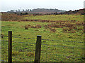 Farmland at Slaemuir