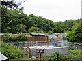 Allotments. Shepherd Way