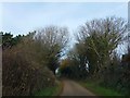 Hedges south of Woodhuish Farm