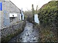 Cheddar Yeo, Cheddar Gorge