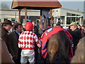 TL2072 : Unsaddling the winner of The Peterborough Chase 2013, Huntingdon Racecourse by Richard Humphrey