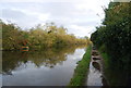 Autumn, Grand Union Canal - Paddington Branch