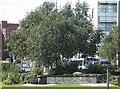 Brook Hill Roundabout ? sponsored by the University of Sheffield ... Sheffield