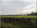 Farmland south of Chance Hall Farm