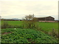 Barn on the Horsbere floodplain