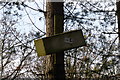 SK9423 : Owl nesting box by Bob Harvey