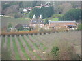 Longtye Oast seen from Golden Hill