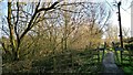 Path towards Carr Vale