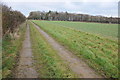 Farm road approaching the A40 at Windrush