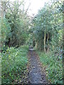 Path between Highford Lane and Causey Hill Way (4)