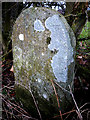 Boundary stone and possible bench mark near Beckstones